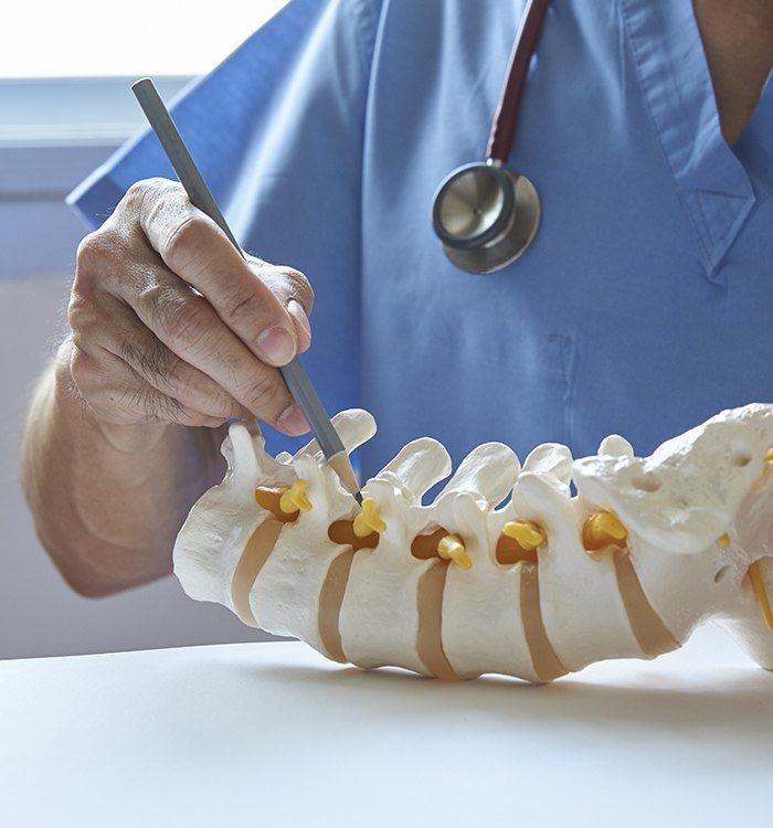 Physician pointing to model of the spine