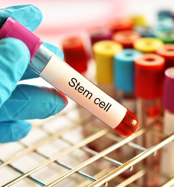 Laboratory tube labeled “stem cell”