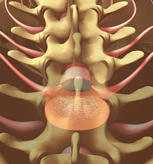 Animated spinal column with nerve block in place