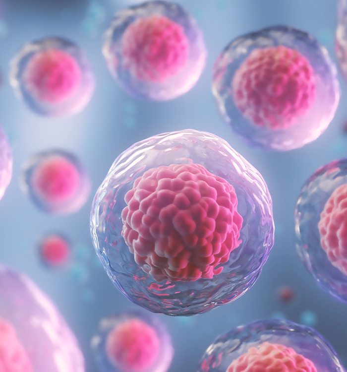 3 D animated stem cells signifying biologic cell therapy