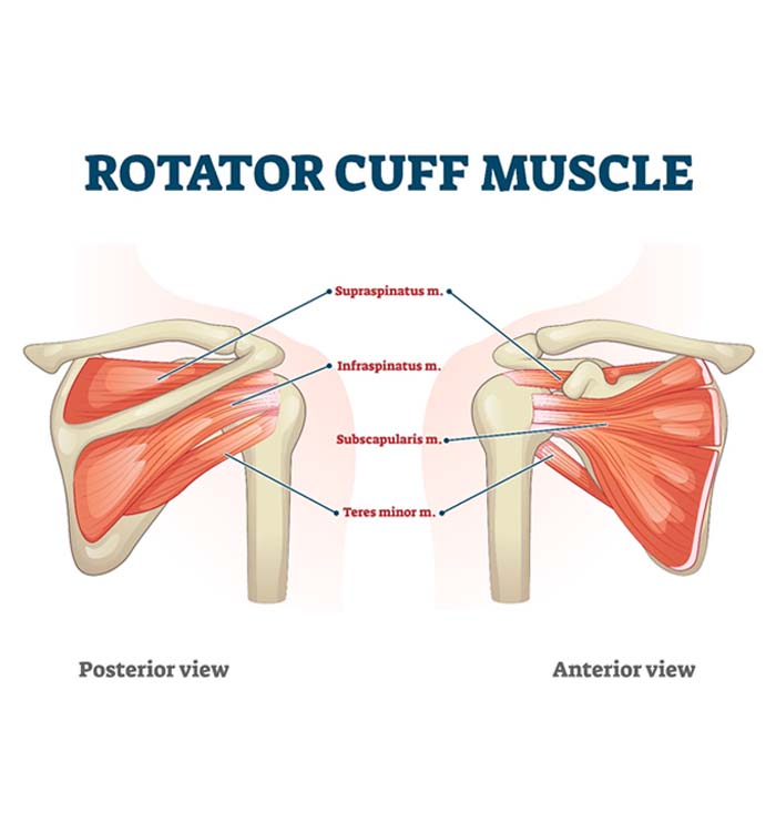 Nonsurgical Rotator Cuff Injury Treatment